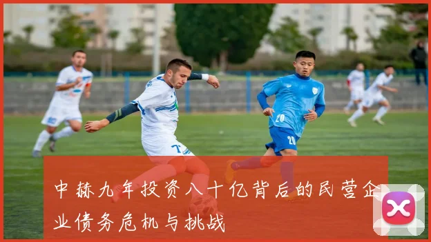 中赫九年投资八十亿背后的民营企业债务危机与挑战