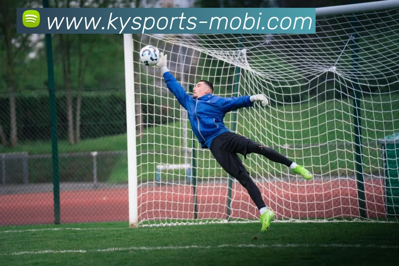 开云体育APP 体育赛事宣传图